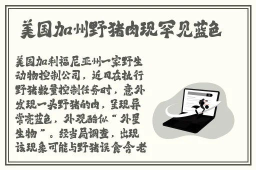 国产高清天干天天天